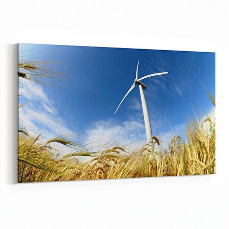 Olla 13922Y Doğa / Manzara Görseli Yatay Kanvas Tablo (Ölçü: 70X50)