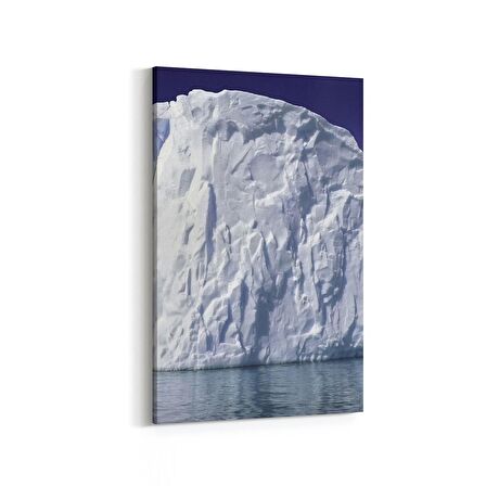 Olla 14126D Doğa / Manzara Görseli Dikey Kanvas Tablo (Ölçü: 100X150)