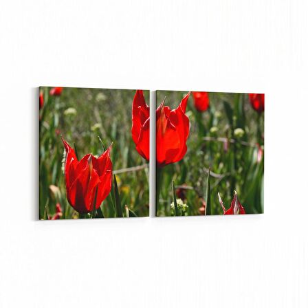 Olla 14225K2Y Doğa / Manzara Görseli Kare 2'li Yatay Kanvas Tablo (Ölçü: 145X70)