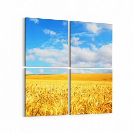 Olla 14037K4 Doğa / Manzara Görseli Kare 4'lü Kanvas Tablo (Ölçü: 145X145)