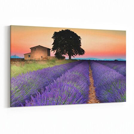 Olla 13542Y Doğa / Manzara Görseli Yatay Kanvas Tablo (Ölçü: 70X50)