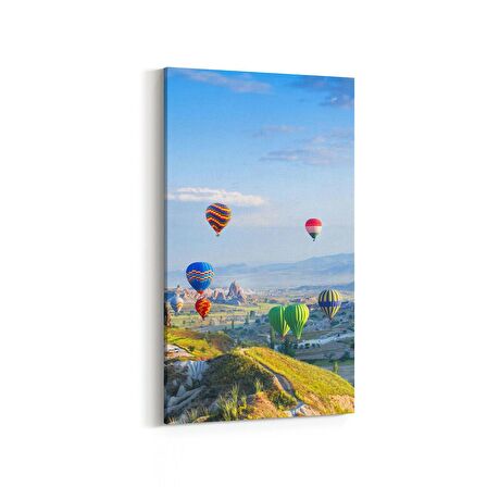 Olla 14227DD Doğa / Manzara Görseli Dikey Dar Kanvas Tablo (Ölçü: 40X80)