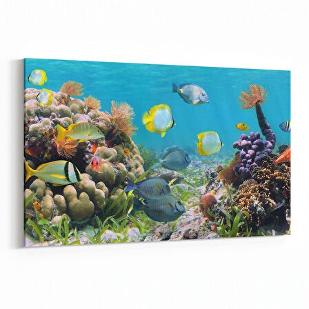 Olla 12209Y Akvaryum / Balık Görseli Yatay Kanvas Tablo (Ölçü: 90X60)