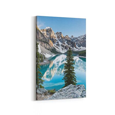 Olla 13728D Doğa / Manzara Görseli Dikey Kanvas Tablo (Ölçü: 100X150)