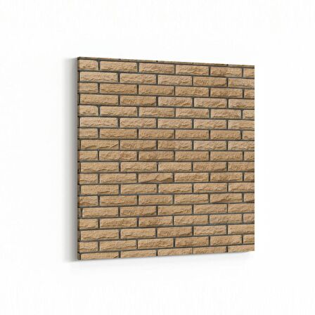 Olla 17362K Taş / Tuğla Görseli Kare Kanvas Tablo (Ölçü: 25X25)