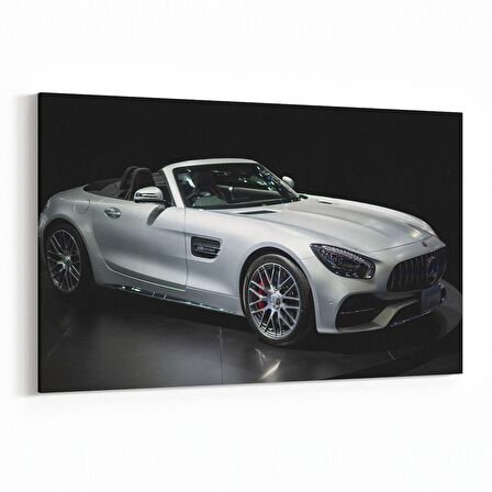 Olla 12227Y Araç Görseli Yatay Kanvas Tablo (Ölçü: 90X60)