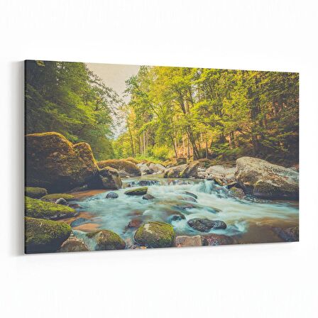 Olla 14406Y Doğa / Manzara Görseli Yatay Kanvas Tablo (Ölçü: 120X80)