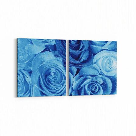 Olla 11598K2Y Çiçek Görseli Kare 2'li Yatay Kanvas Tablo (Ölçü: 145X70)
