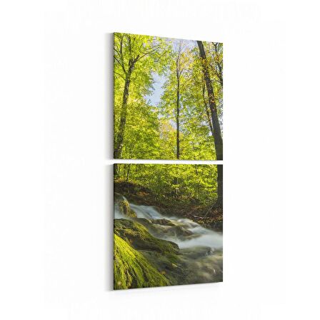 Olla 13605K2D Doğa / Manzara Görseli Kare 2'li Dikey Kanvas Tablo (Ölçü: 30X65)