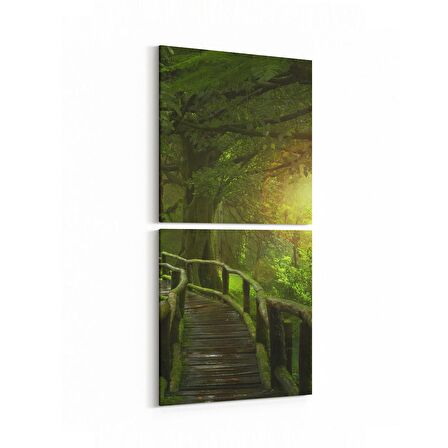 Olla 14108K2D Doğa / Manzara Görseli Kare 2'li Dikey Kanvas Tablo (Ölçü: 30X65)
