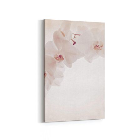 Olla 11722D Orkide Çiçek Görseli Dikey Kanvas Tablo (Ölçü: 100X150)