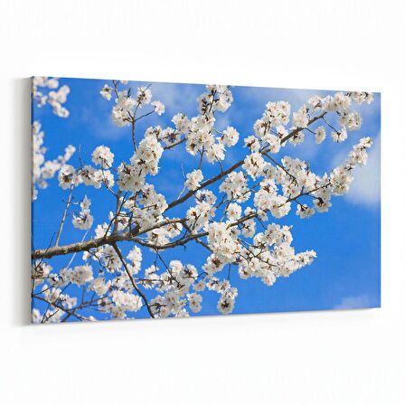 Olla 10699Y Ağaç Görseli Yatay Kanvas Tablo (Ölçü: 90X60)