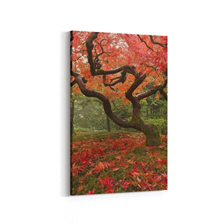 Olla 14619D Doğa / Manzara Görseli Dikey Kanvas Tablo (Ölçü: 100X150)