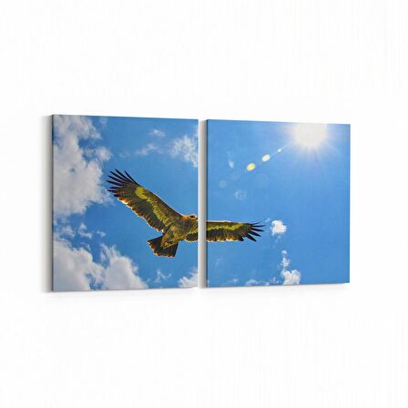 Olla 15838K2Y Gökyüzü Kuşlar Görseli Kare 2'li Yatay Kanvas Tablo (Ölçü: 105X50)