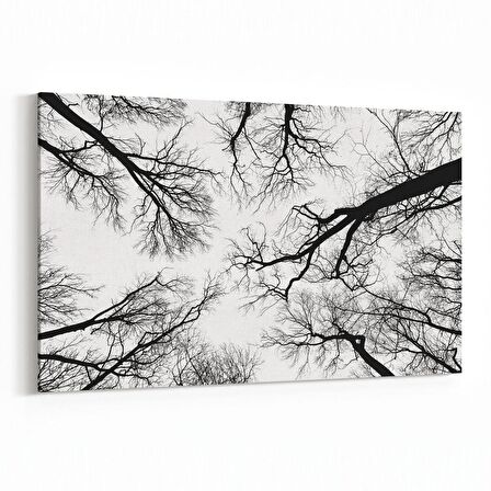 Olla 10943Y Ağaç Görseli Yatay Kanvas Tablo (Ölçü: 70X50)