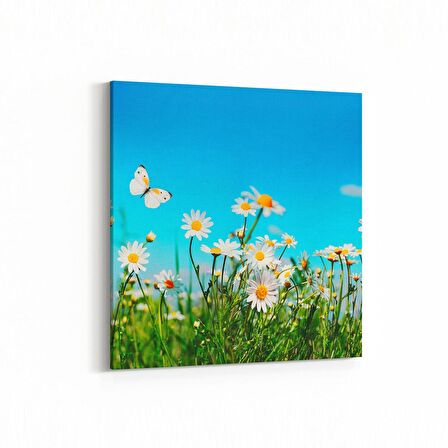 Olla 13263K Doğa / Manzara Görseli Kare Kanvas Tablo (Ölçü: 25X25)