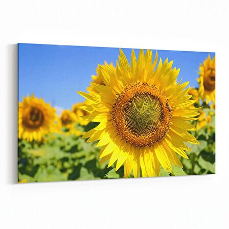 Olla 10952Y Ağaç Görseli Yatay Kanvas Tablo (Ölçü: 120X80)