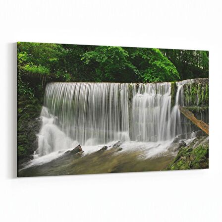 Olla 14269Y Doğa / Manzara Görseli Yatay Kanvas Tablo (Ölçü: 90X60)