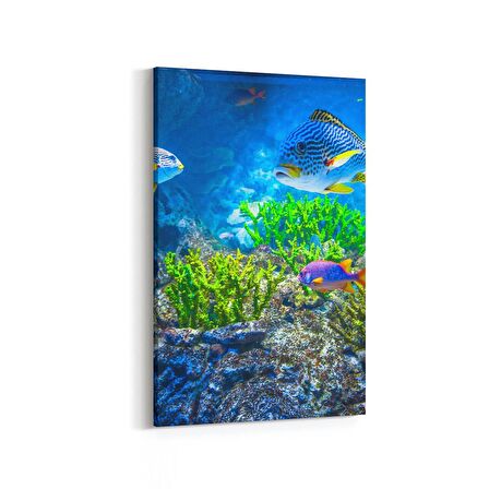 Olla 12120D Akvaryum / Balık Görseli Dikey Kanvas Tablo (Ölçü: 60X90)