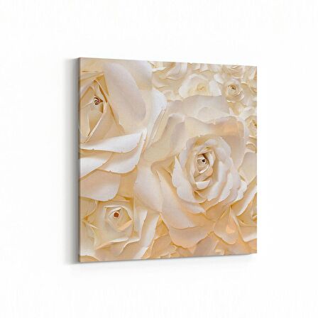 Olla 11582K Çiçek Görseli Kare Kanvas Tablo (Ölçü: 60X60)