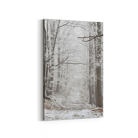 Olla 14451D Doğa / Manzara Görseli Dikey Kanvas Tablo (Ölçü: 60X90)