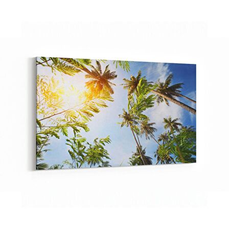 Olla 11497Y Palmiye Ağacı Görseli Yatay Kanvas Tablo (Ölçü: 150X100)