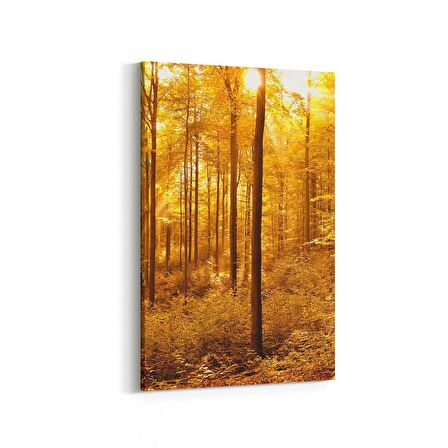 Olla 14337D Doğa / Manzara Görseli Dikey Kanvas Tablo (Ölçü: 20X30)