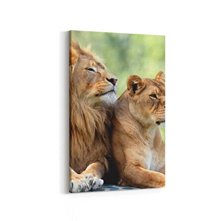 Olla 12458D Hayvanlar Alemi Görseli Dikey Kanvas Tablo (Ölçü: 100X150)