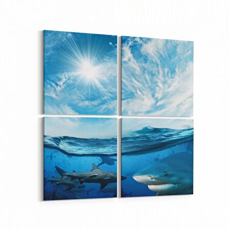 Olla 12879K4 Deniz / Okyanus Görseli Kare 4'lü Kanvas Tablo (Ölçü: 65X65)