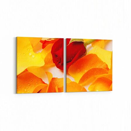 Olla 11616K2Y Çiçek Görseli Kare 2'li Yatay Kanvas Tablo (Ölçü: 65X30)