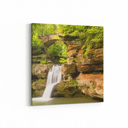 Olla 13497K Doğa / Manzara Görseli Kare Kanvas Tablo (Ölçü: 25X25)