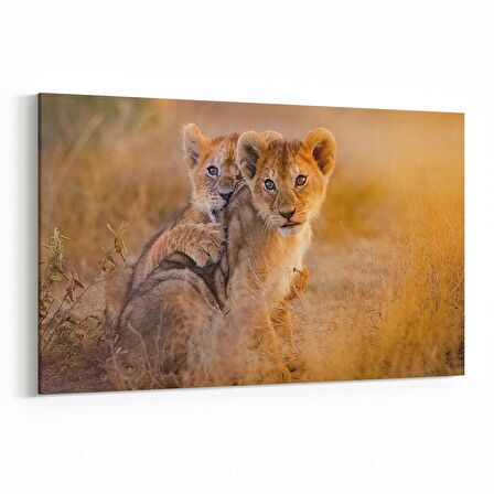 Olla 12676Y Hayvanlar Alemi Görseli Yatay Kanvas Tablo (Ölçü: 45X30)