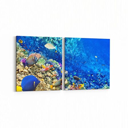 Olla 12126K2Y Akvaryum / Balık Görseli Kare 2'li Yatay Kanvas Tablo (Ölçü: 125X60)