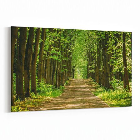 Olla 14276Y Doğa / Manzara Görseli Yatay Kanvas Tablo (Ölçü: 45X30)