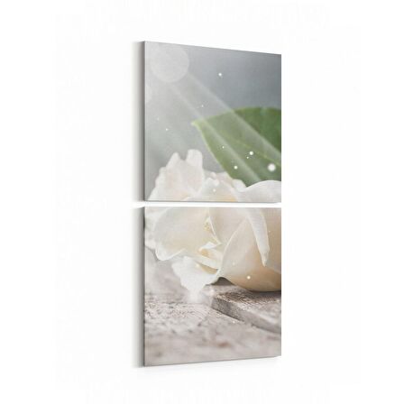 Olla 11562K2D Çiçek Görseli Kare 2'li Dikey Kanvas Tablo (Ölçü: 30X65)