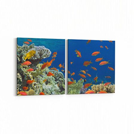 Olla 12113K2Y Akvaryum / Balık Görseli Kare 2'li Yatay Kanvas Tablo (Ölçü: 145X70)