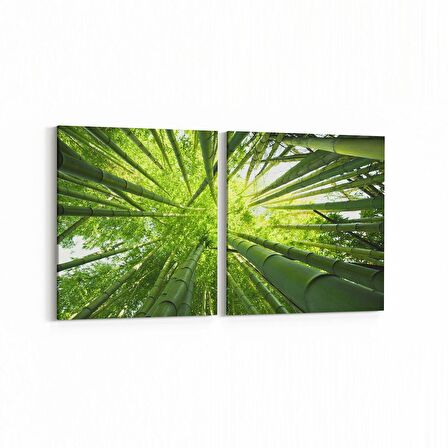 Olla 10805K2Y Ağaç Görseli Kare 2'li Yatay Kanvas Tablo (Ölçü: 125X60)
