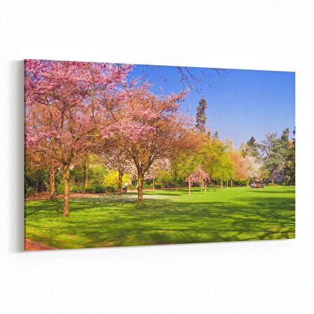 Olla 14295Y Doğa / Manzara Görseli Yatay Kanvas Tablo (Ölçü: 90X60)