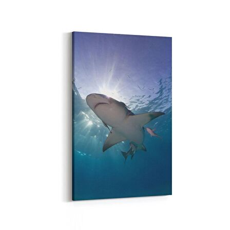 Olla 12914D Deniz / Okyanus Görseli Dikey Kanvas Tablo (Ölçü: 100X150)
