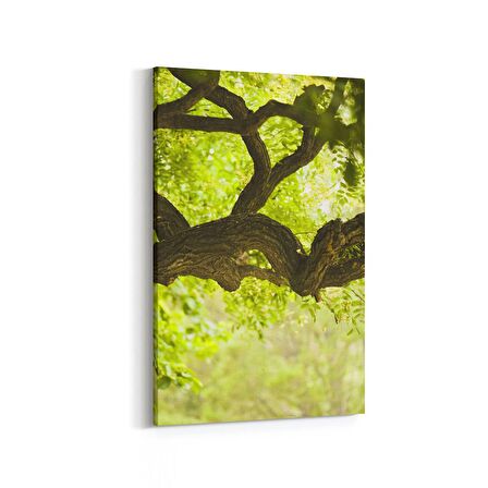 Olla 14049D Doğa / Manzara Görseli Dikey Kanvas Tablo (Ölçü: 80X120)