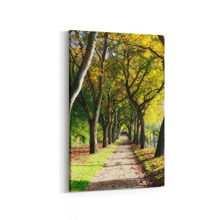 Olla 13394D Doğa / Manzara Görseli Dikey Kanvas Tablo (Ölçü: 40X60)