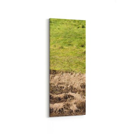 Olla 14179DI Doğa / Manzara Görseli Dikey İnce Kanvas Tablo (Ölçü: 30X90)