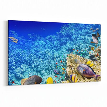 Olla 12124Y Akvaryum / Balık Görseli Yatay Kanvas Tablo (Ölçü: 150X100)