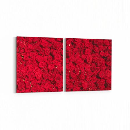 Olla 11639K2Y Çiçek Görseli Kare 2'li Yatay Kanvas Tablo (Ölçü: 65X30)
