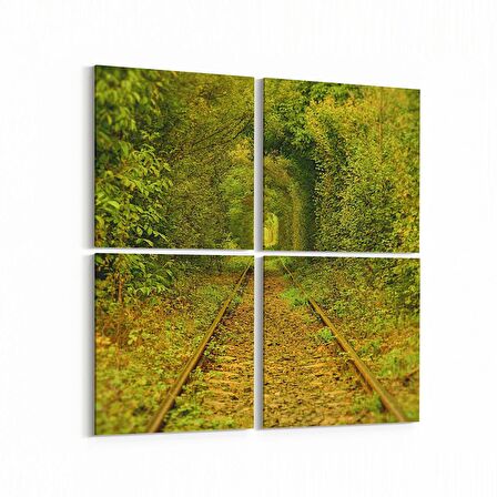 Olla 13903K4 Doğa / Manzara Görseli Kare 4'lü Kanvas Tablo (Ölçü: 65X65)