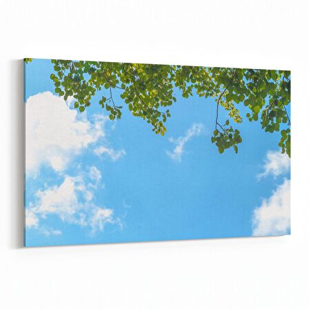 Olla 10726Y Ağaç Görseli Yatay Kanvas Tablo (Ölçü: 30X20)