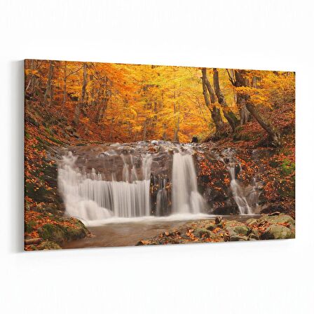 Olla 14316Y Doğa / Manzara Görseli Yatay Kanvas Tablo (Ölçü: 70X50)