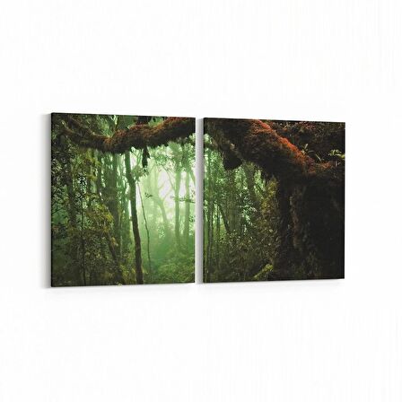 Olla 13514K2Y Doğa / Manzara Görseli Kare 2'li Yatay Kanvas Tablo (Ölçü: 85X40)