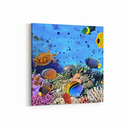 Olla 12061K Akvaryum / Balık Görseli Kare Kanvas Tablo (Ölçü: 25X25)