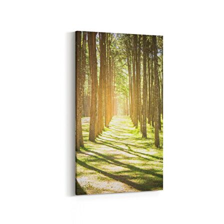 Olla 14322DD Doğa / Manzara Görseli Dikey Dar Kanvas Tablo (Ölçü: 60X120)